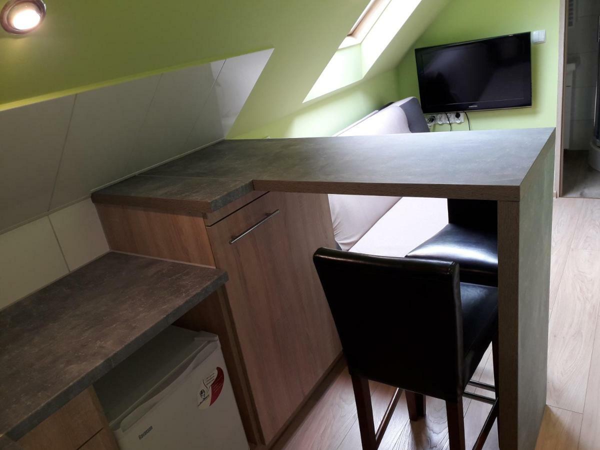 Apartamenty Zloty Widok Карпач Екстериор снимка