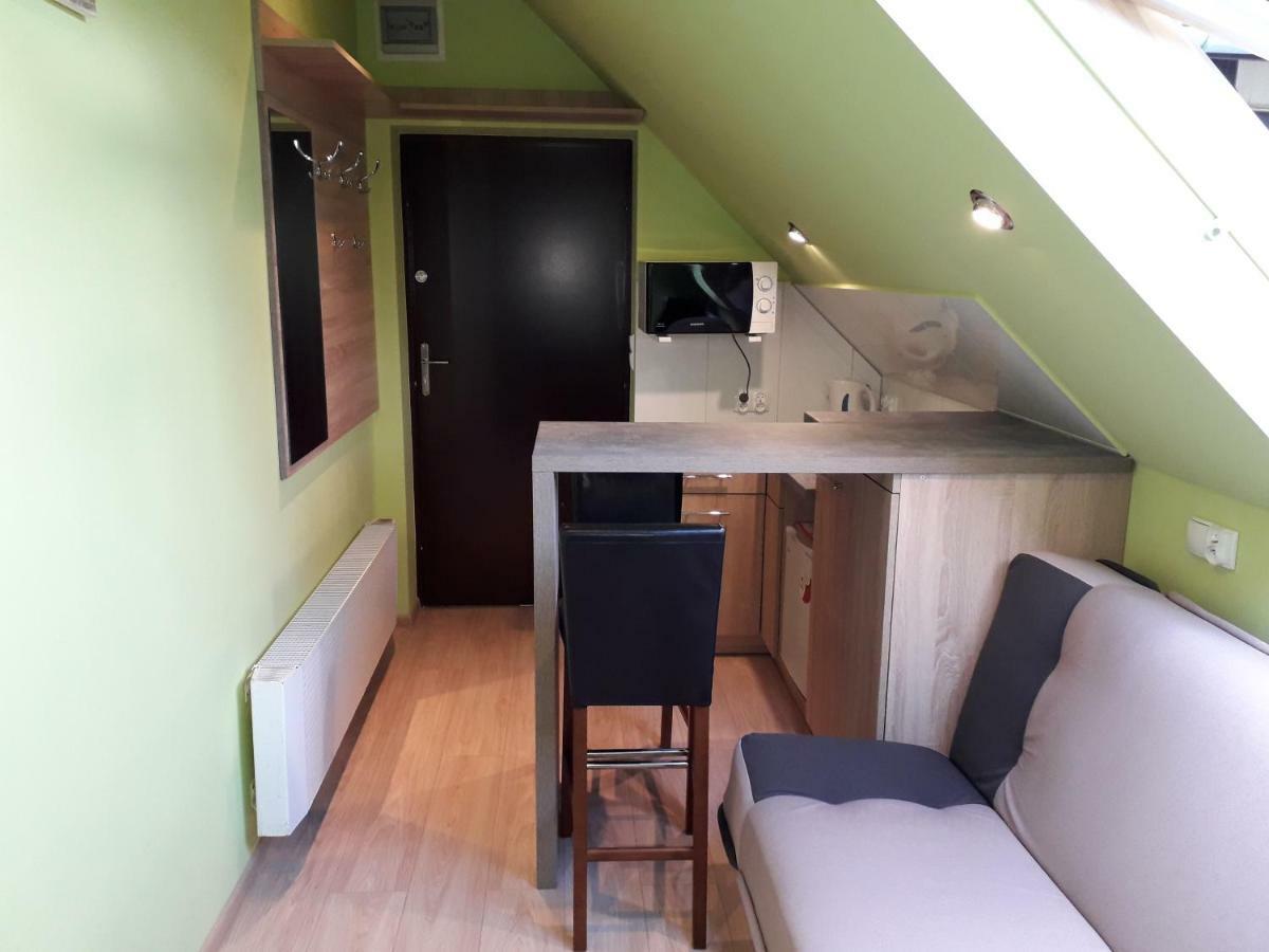 Apartamenty Zloty Widok Карпач Екстериор снимка